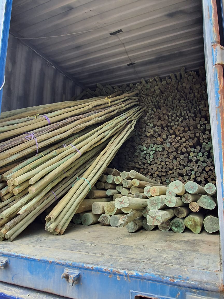 Contenedores de giles tratados en Cancún listos para distribución por Giles Tratados