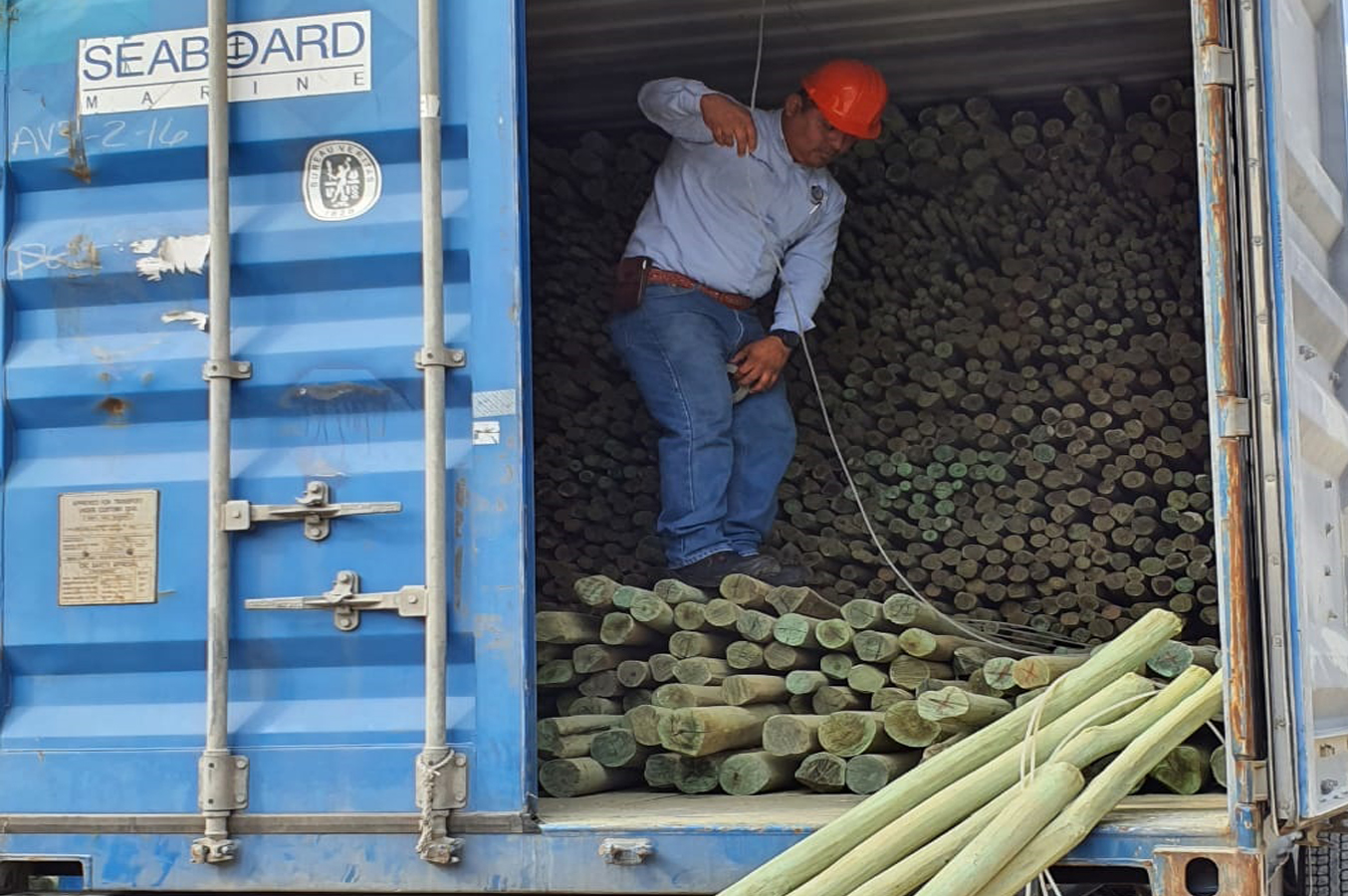 Exportación de giles tratados, calidad y durabilidad internacional