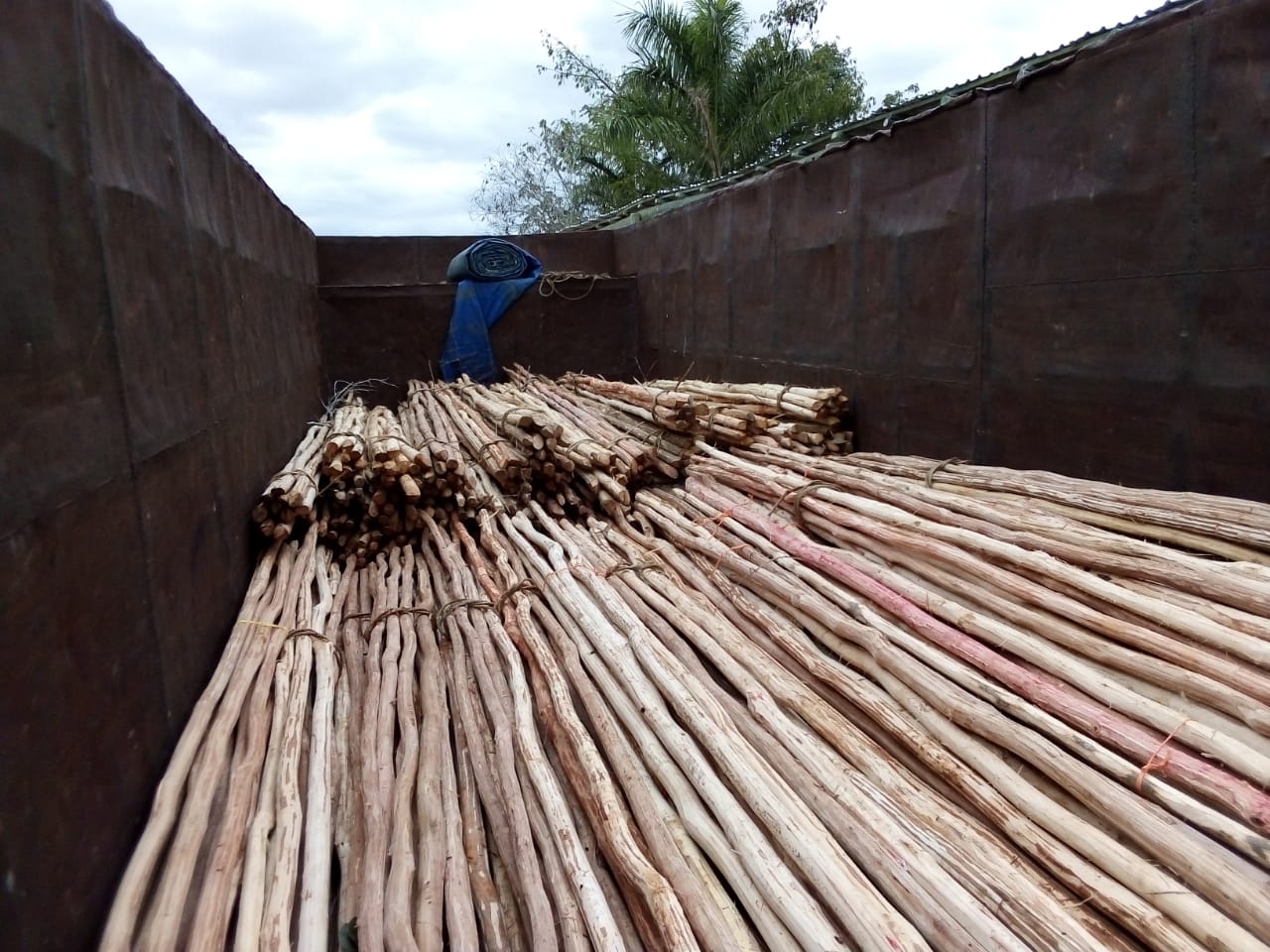 Giles tratados almacenados